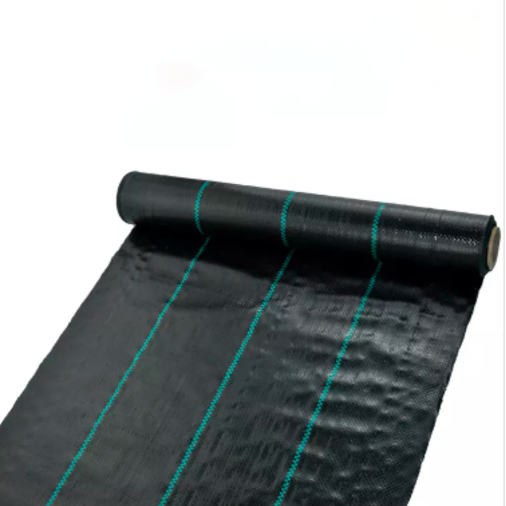 Plasa antiburuieni, negru, 2 x 100 m