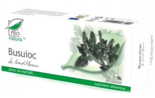 Ginkgo Biloba Herbal Plus 120mg 100cps