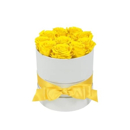 Extract din Muguri de Coacaz Negru 50ml