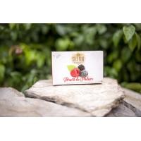 Ceai premium din fructe de padure 20plicuri STEF MAR