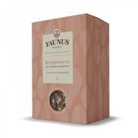 Ceai respiratorus 90gr FAUNUS PLANT