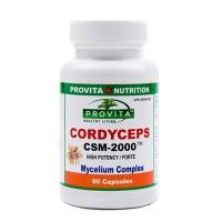 Cordyceps csm 2000 90cps PROVITA