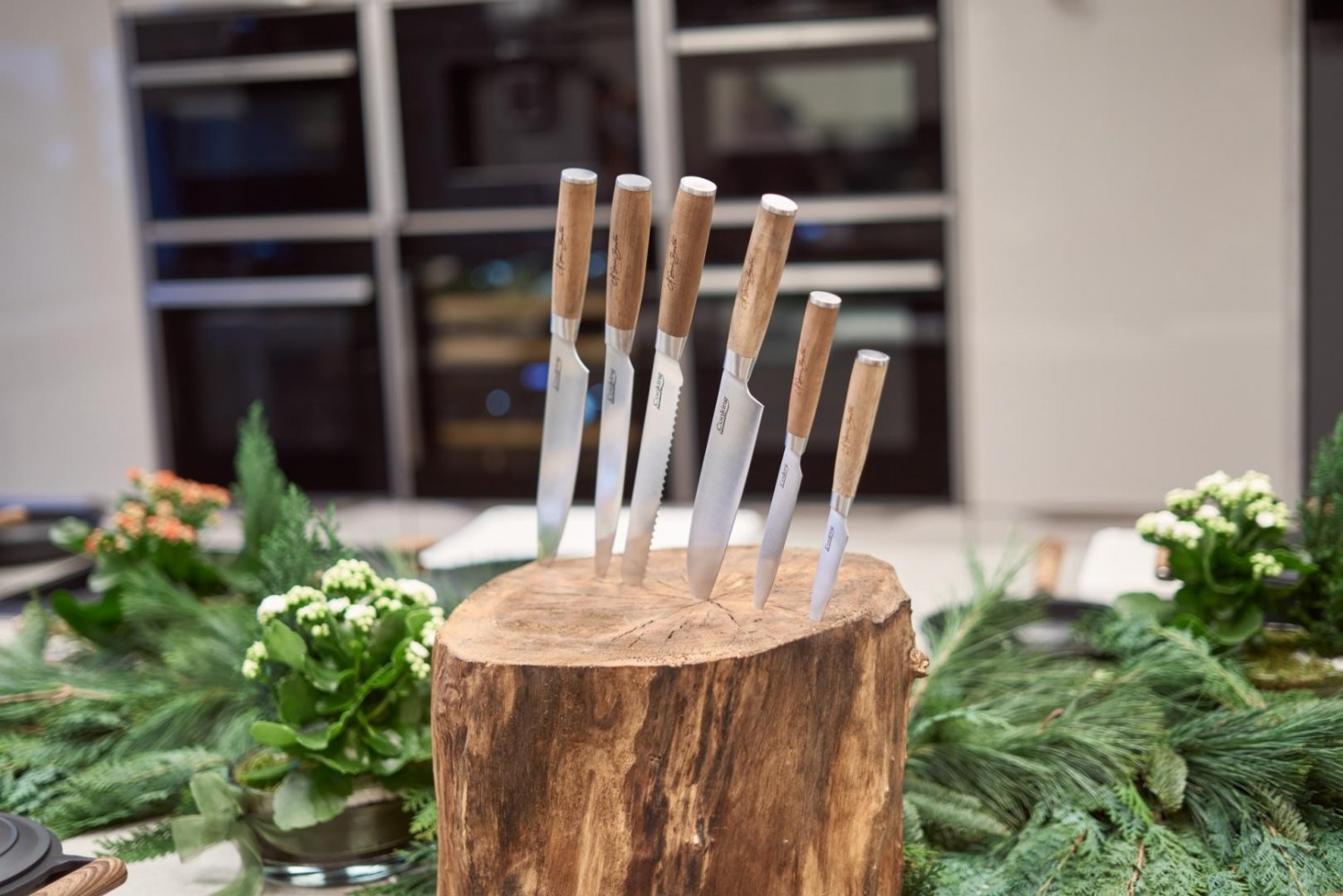 Optizinc 30mg 60cps Secom,