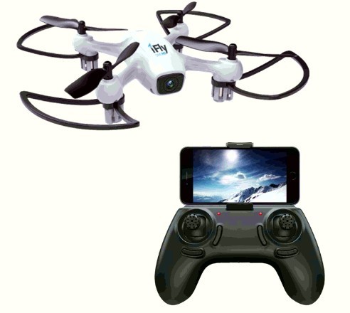 Cicoare Extract 30cps