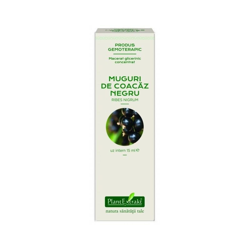 Extract din muguri de Coacaz Negru Plant Extrakt 15 ml (Ambalaj: 15 ml)