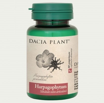 Harpagophytum Dacia Plant 60 comprimate (Concentratie: 500 mg)
