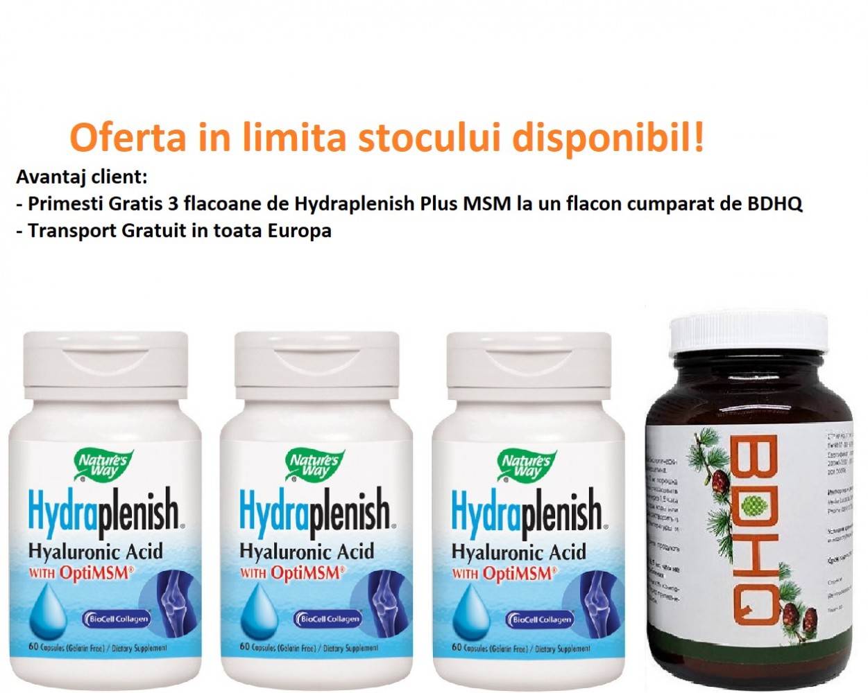 Ceai de Plante si Fructe O Zi Insorita Ecologic/Bio 18dz