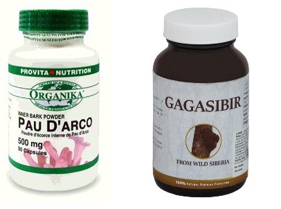 Bilberry Extract 60mg (Extract Standardizat din Afine) Herbal Plus 100cps