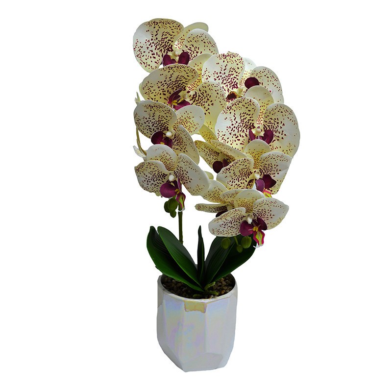 Orhidee cu aspect natural in ghiveci ceramic alb, 50 cm (CULOARE: Multicolor)