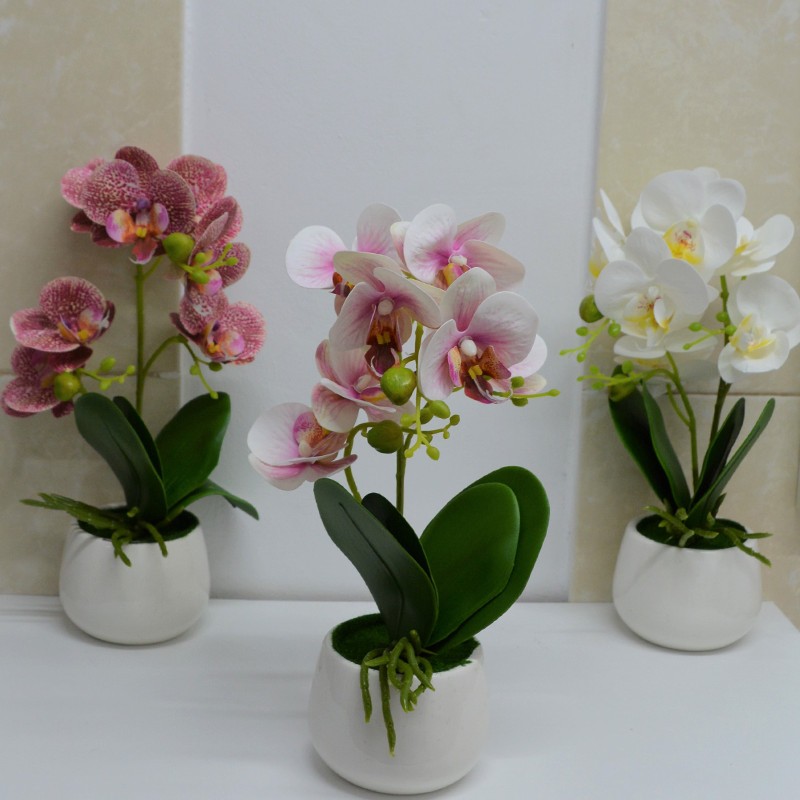 Orhidee cu aspect natural in ghiveci ceramic rotund alb, 35 cm (CULOARE: fucsia)