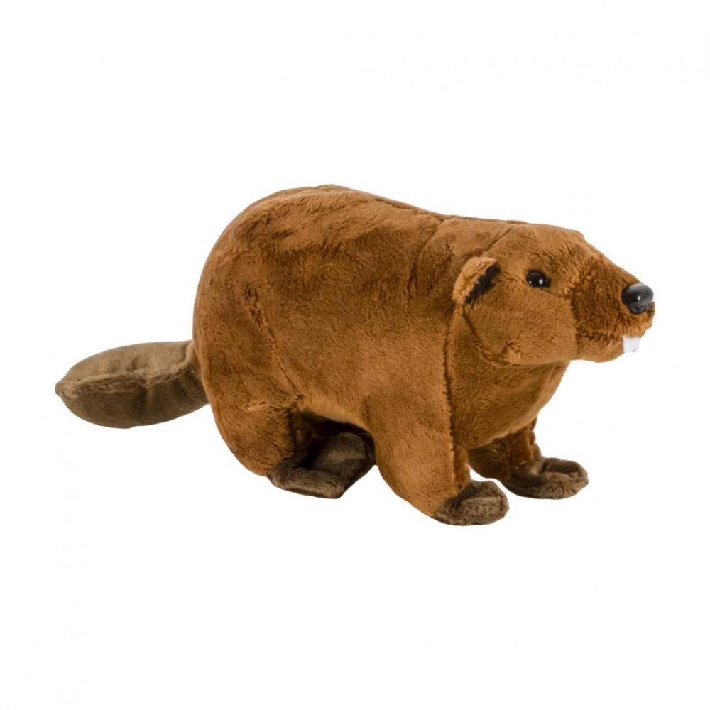 Vitamina D Naturala 60cps