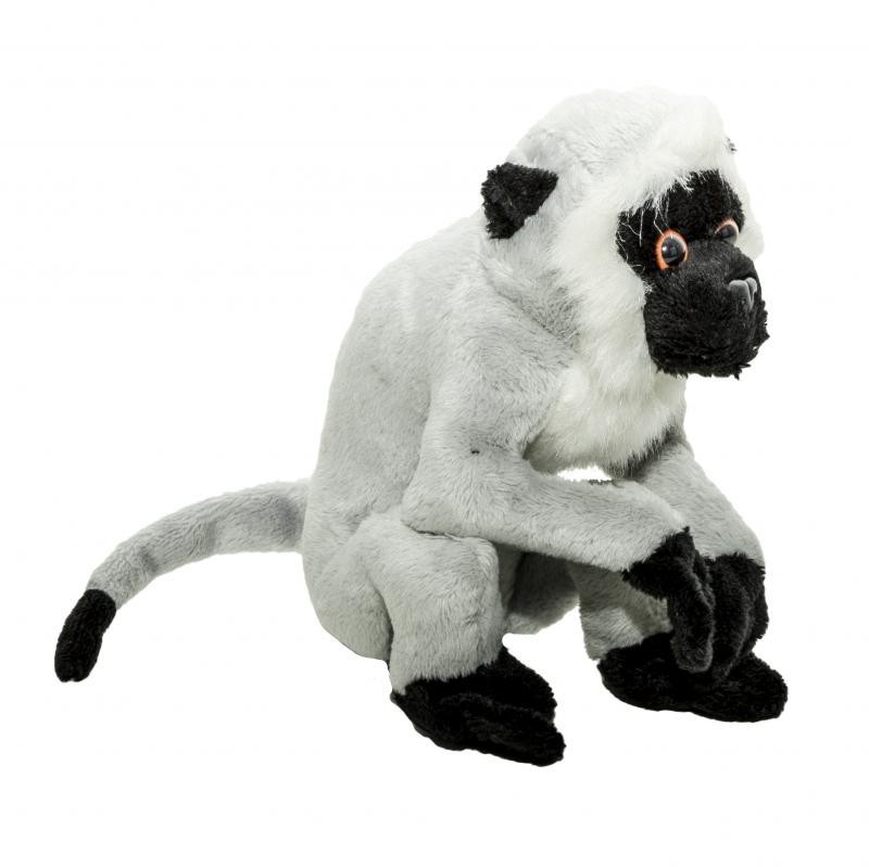 Ulei Esential Natural de Lavanda 10ml