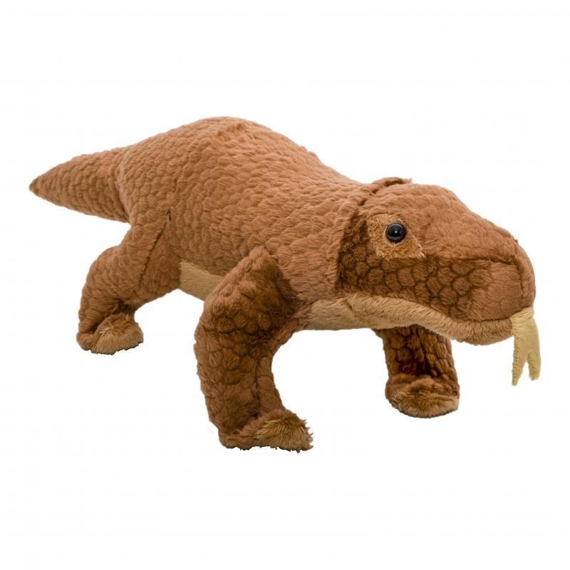 Biomicin Urinar (A20) 15cps moi