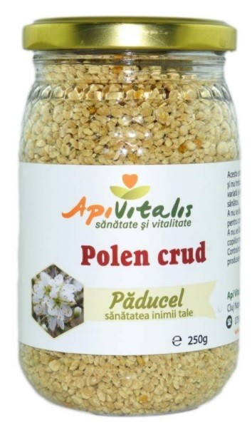 Crema cu Echinacea Dermotis 50ml