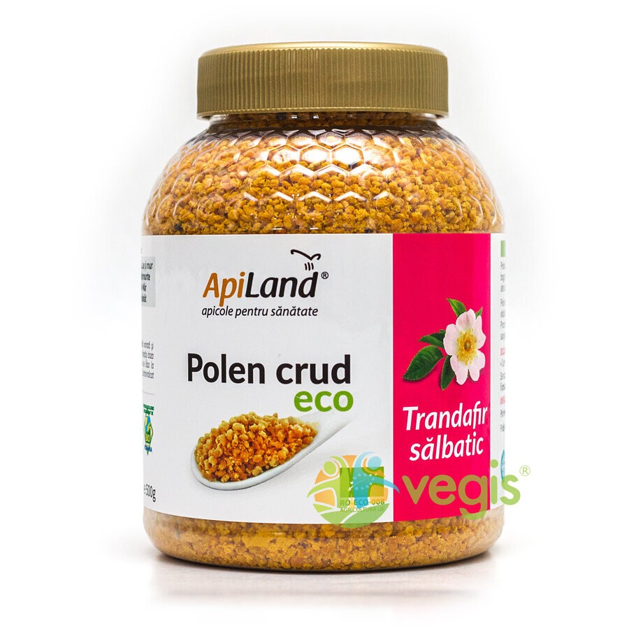 Ganoderma Reishi Ecologica/Bio 300mg 60cps