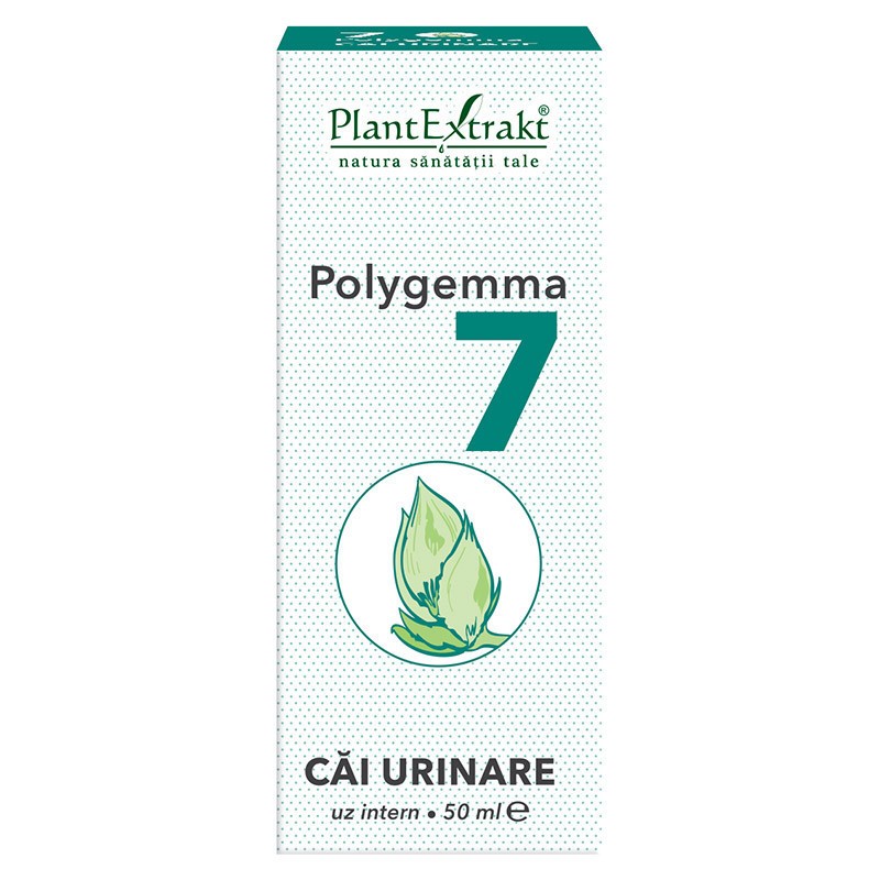 Polygemma 7 (Cai Urinare) 50 ml PlantExtrakt (Concentratie: 50 ml)