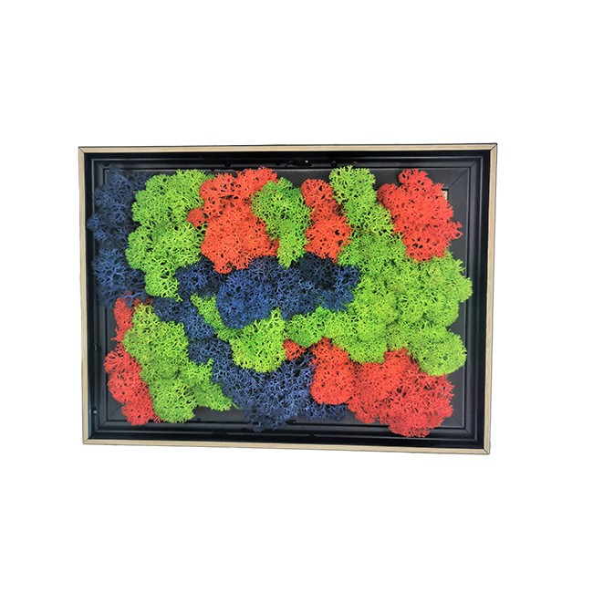 Guarana Pulbere Ecologica/Bio 125g