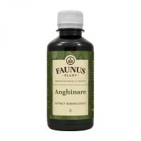 Tinctura de anghinare 200ml FAUNUS PLANT