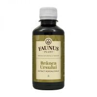 Tinctura de branca ursului 200ml FAUNUS PLANT