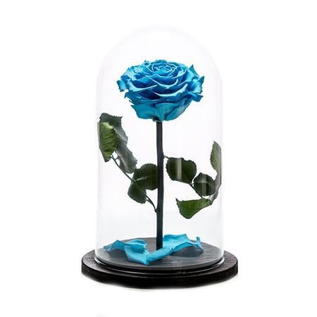 Trandafir criogenat XXL in cupola de sticla cu blat negru