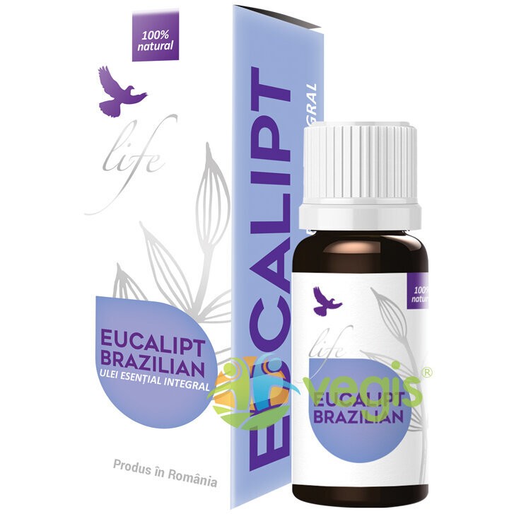 Meridian Rinichi 60cps