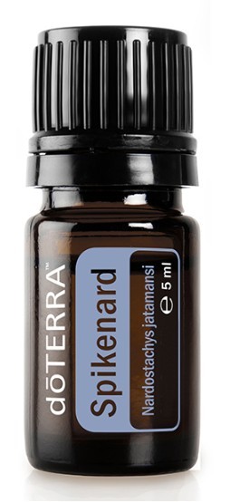 Traista Ciobanului 40cps