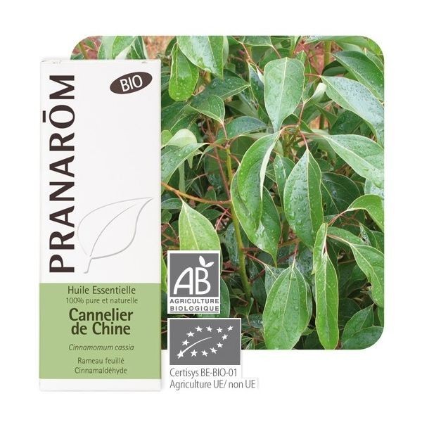 Crema Hidratanta De Zi Cu Extract De Aloe Vera Pentru Ten Normal Si Uscat 50ml