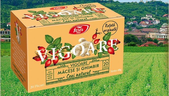 Ceai Alb cu Aloe Vera Ecologic/Bio 17dz