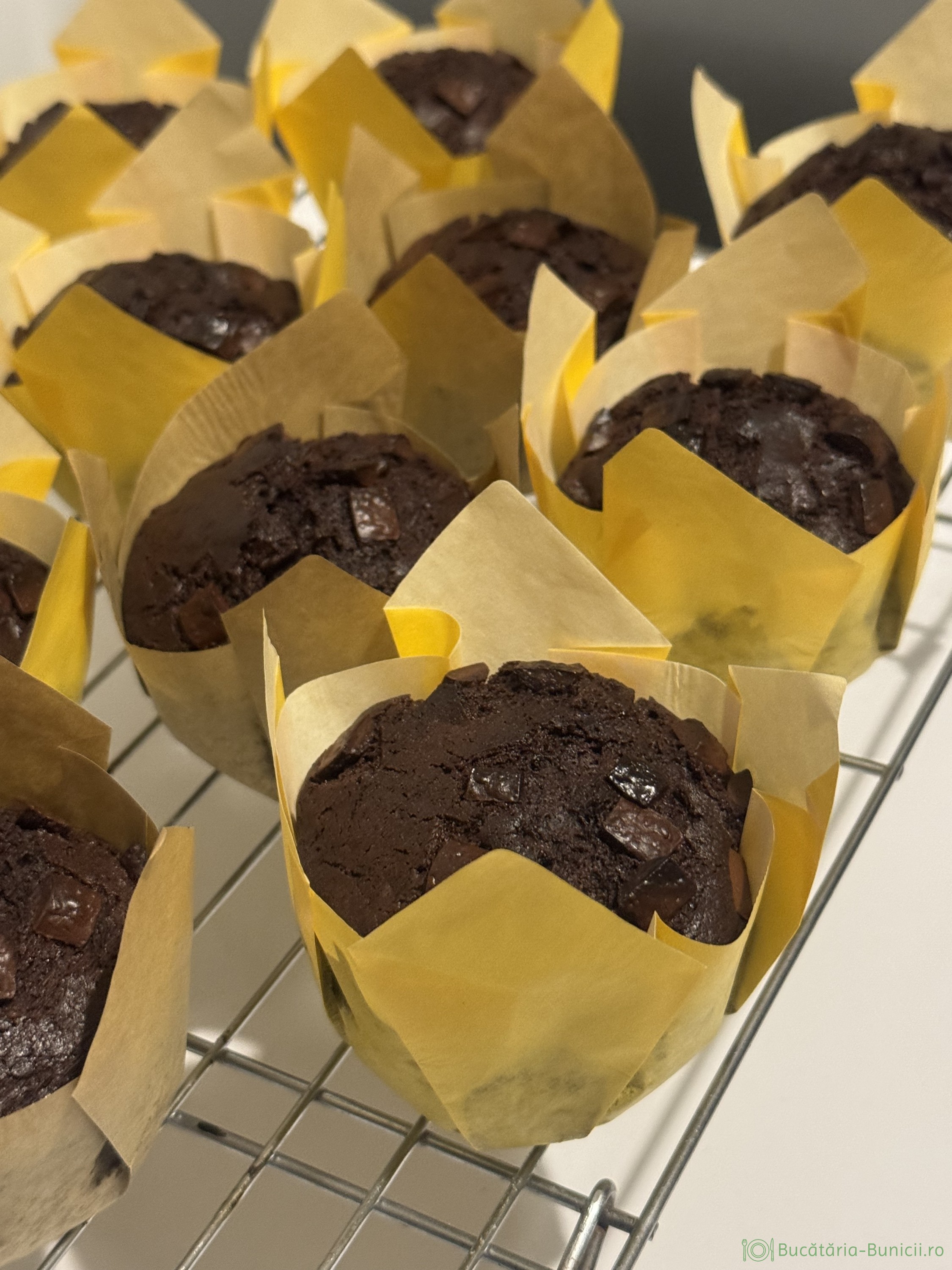 Double chocolate muffins